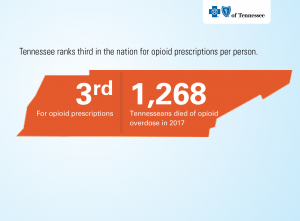 BlueCross Tennessee infographic