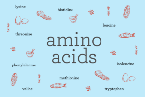 9 essential amino acids protein foods