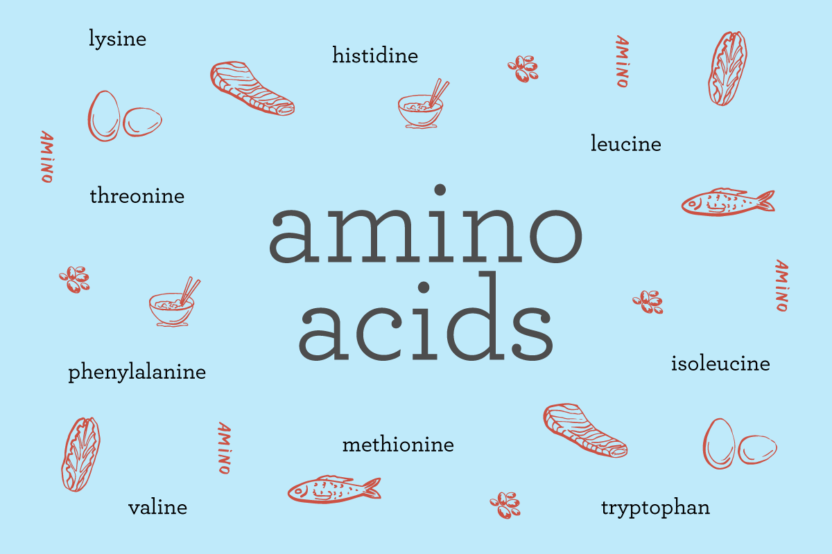 What Are Amino Acids Exploring The 9 Essential Amino Acids The Foods That Have Them Bcbst