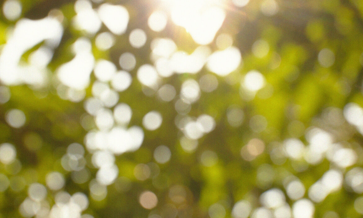 background image for In the Spotlight